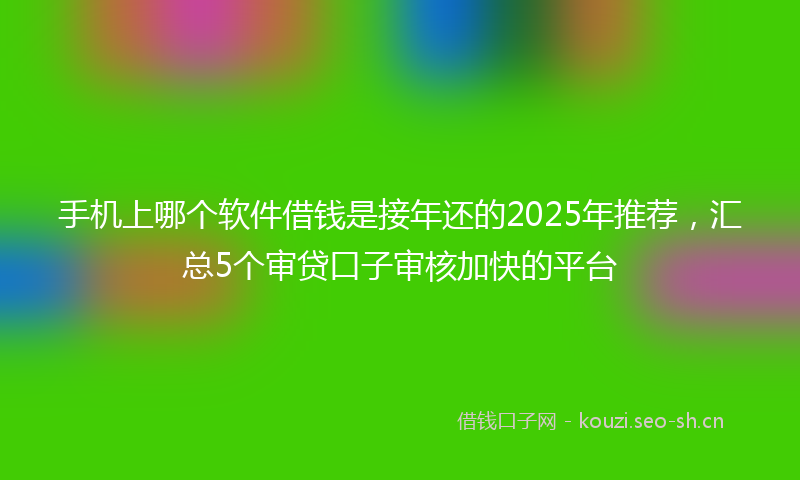 手机上哪个软件借钱是接年还的2025年推荐，汇总5个审贷口子审核加快的平台