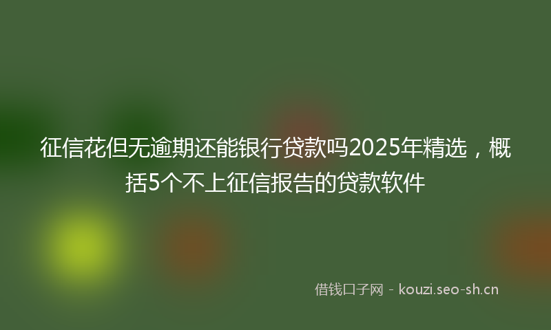 征信花但无逾期还能银行贷款吗2025年精选,概括5个不上征信报告的贷款软件