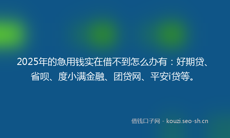 2025年的急用钱实在借不到怎么办有：好期贷、省呗、度小满金融、团贷网、平安i贷等。
