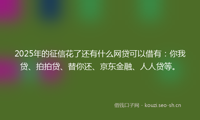 2025年的征信花了还有什么网贷可以借有：你我贷、拍拍贷、替你还、京东金融、人人贷等。