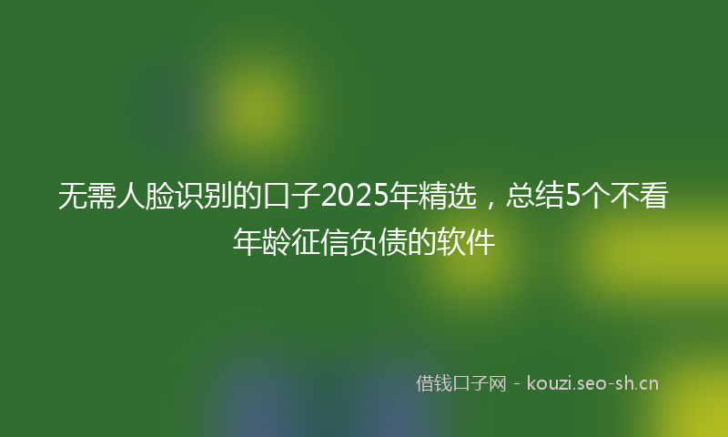 无需人脸识别的口子2025年精选，总结5个不看年龄征信负债的软件
