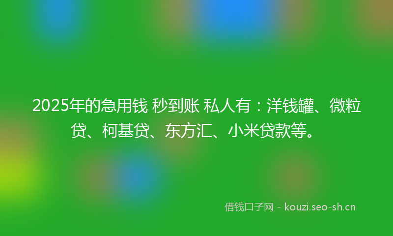 2025年的急用钱 秒到账 私人有：洋钱罐、微粒贷、柯基贷、东方汇、小米贷款等。