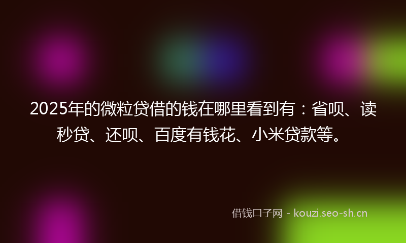 2025年的微粒贷借的钱在哪里看到有：省呗、读秒贷、还呗、百度有钱花、小米贷款等。