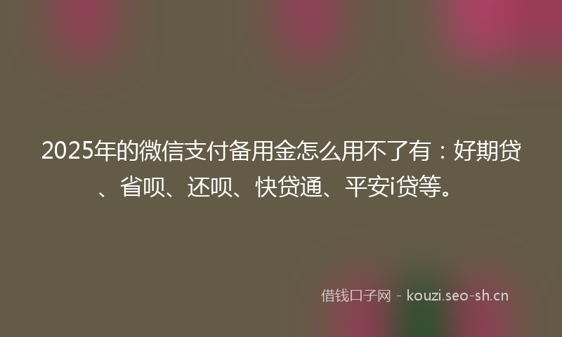 2025年的微信支付备用金怎么用不了有:好期贷、省呗、还呗、快贷通、平安i贷等。
