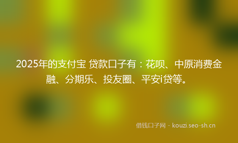 2025年的支付宝 贷款口子有：花呗、中原消费金融、分期乐、投友圈、平安i贷等。
