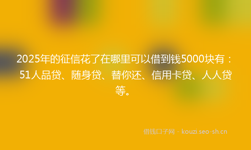 2025年的征信花了在哪里可以借到钱5000块有:51人品贷、随身贷、替你还、信用卡贷、人人贷等。