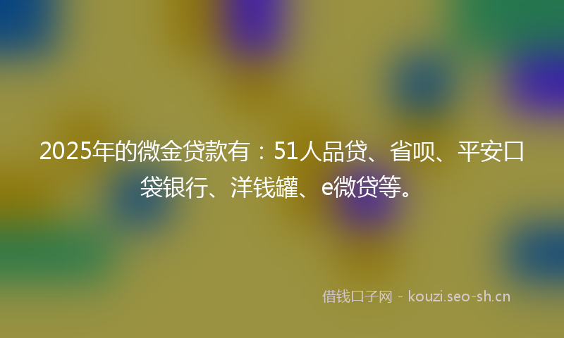 2025年的微金贷款有：51人品贷、省呗、平安口袋银行、洋钱罐、e微贷等。
