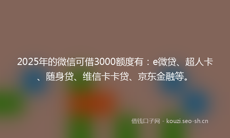 2025年的微信可借3000额度有：e微贷、超人卡、随身贷、维信卡卡贷、京东金融等。