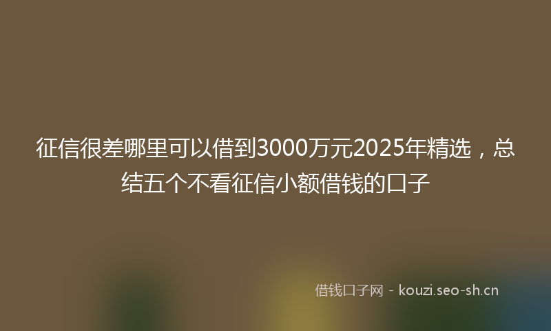 征信很差哪里可以借到3000万元2025年精选，总结五个不看征信小额借钱的口子