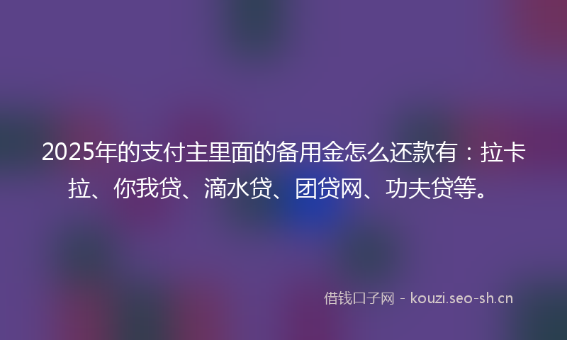 2025年的支付主里面的备用金怎么还款有：拉卡拉、你我贷、滴水贷、团贷网、功夫贷等。