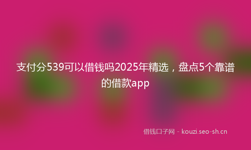 支付分539可以借钱吗2025年精选，盘点5个靠谱的借款app