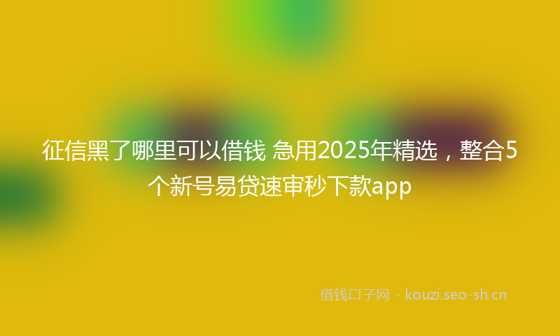 征信黑了哪里可以借钱 急用2025年精选，整合5个新号易贷速审秒下款app