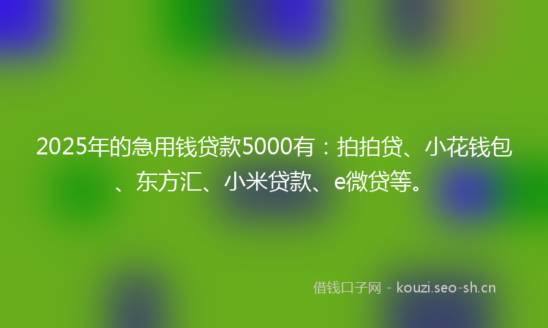 2025年的急用钱贷款5000有：拍拍贷、小花钱包、东方汇、小米贷款、e微贷等。