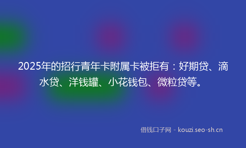2025年的招行青年卡附属卡被拒有：好期贷、滴水贷、洋钱罐、小花钱包、微粒贷等。