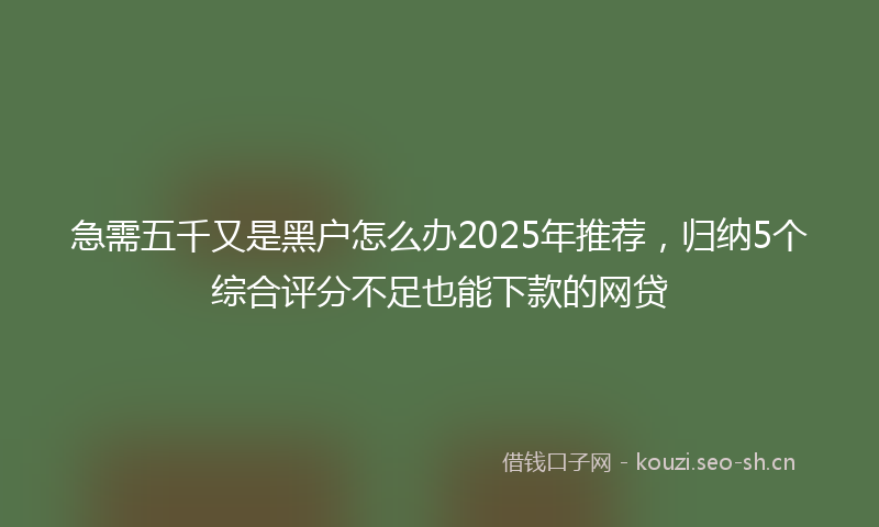 急需五千又是黑户怎么办2025年推荐，归纳5个综合评分不足也能下款的网贷