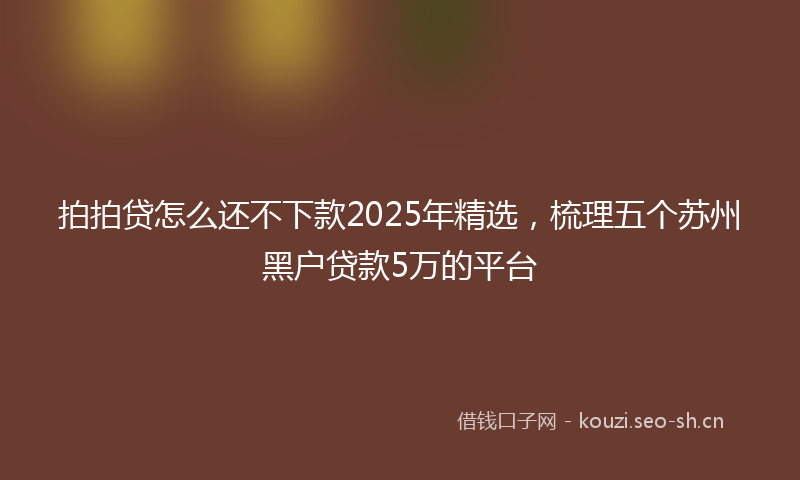 拍拍贷怎么还不下款2025年精选，梳理五个苏州黑户贷款5万的平台