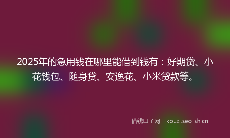 2025年的急用钱在哪里能借到钱有：好期贷、小花钱包、随身贷、安逸花、小米贷款等。