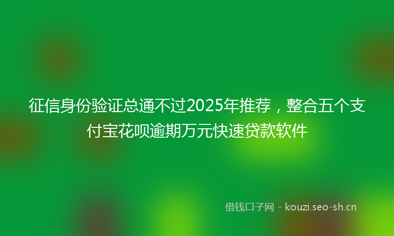 征信身份验证总通不过2025年推荐,整合五个支付宝花呗逾期万元快速贷款软件