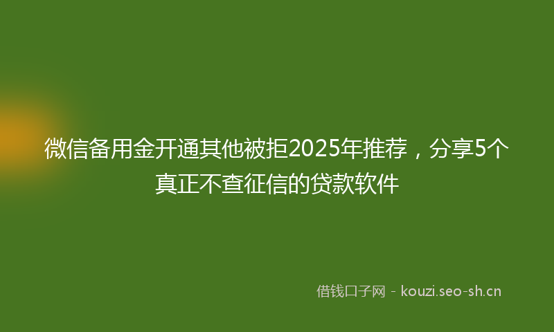 微信备用金开通其他被拒2025年推荐，分享5个真正不查征信的贷款软件
