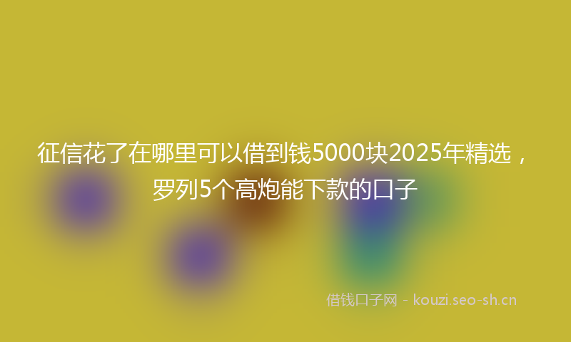 征信花了在哪里可以借到钱5000块2025年精选，罗列5个高炮能下款的口子