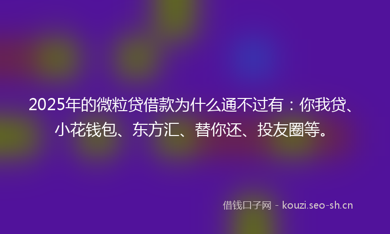 2025年的微粒贷借款为什么通不过有：你我贷、小花钱包、东方汇、替你还、投友圈等。