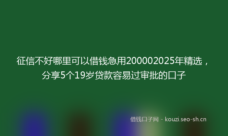 征信不好哪里可以借钱急用200002025年精选，分享5个19岁贷款容易过审批的口子