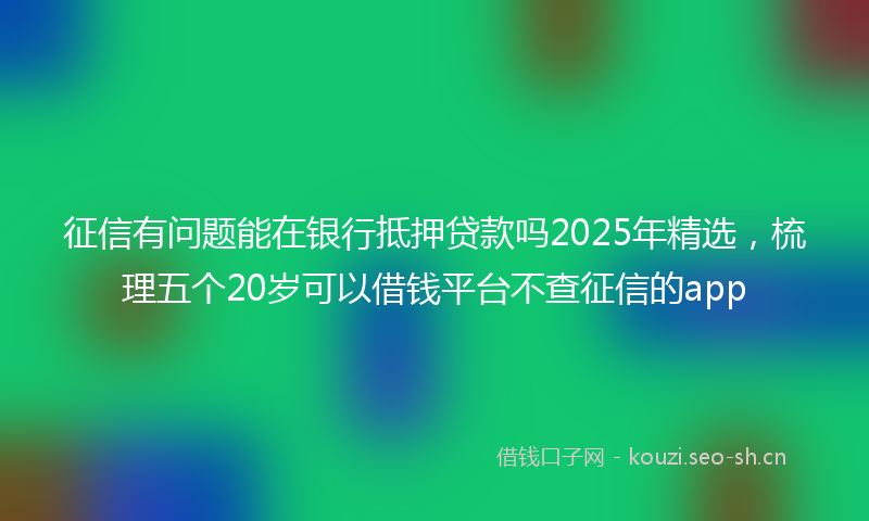 征信有问题能在银行抵押贷款吗2025年精选，梳理五个20岁可以借钱平台不查征信的app