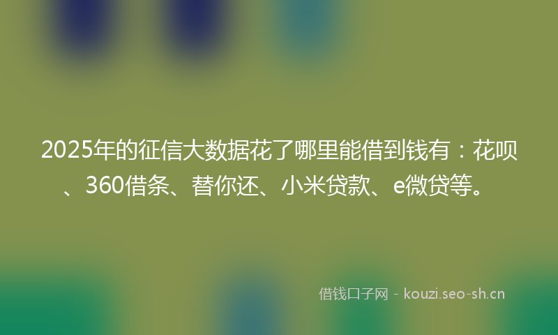 2025年的征信大数据花了哪里能借到钱有：花呗、360借条、替你还、小米贷款、e微贷等。