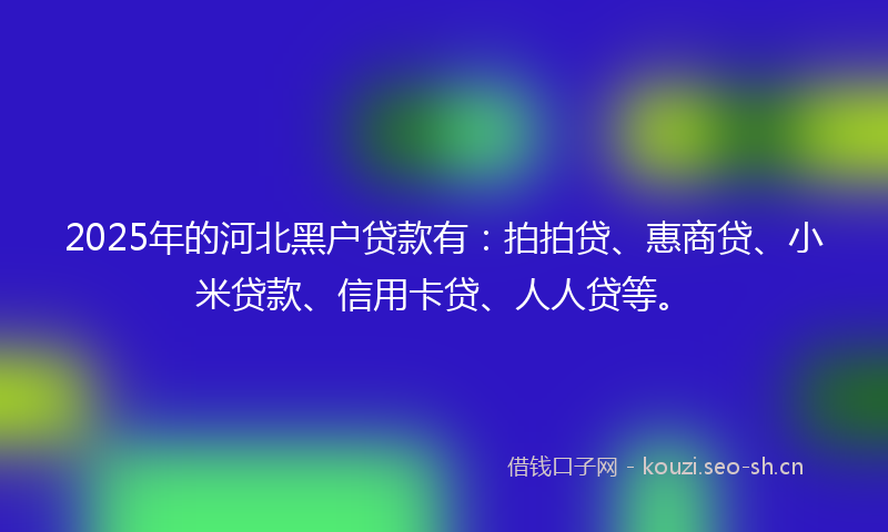 2025年的河北黑户贷款有：拍拍贷、惠商贷、小米贷款、信用卡贷、人人贷等。