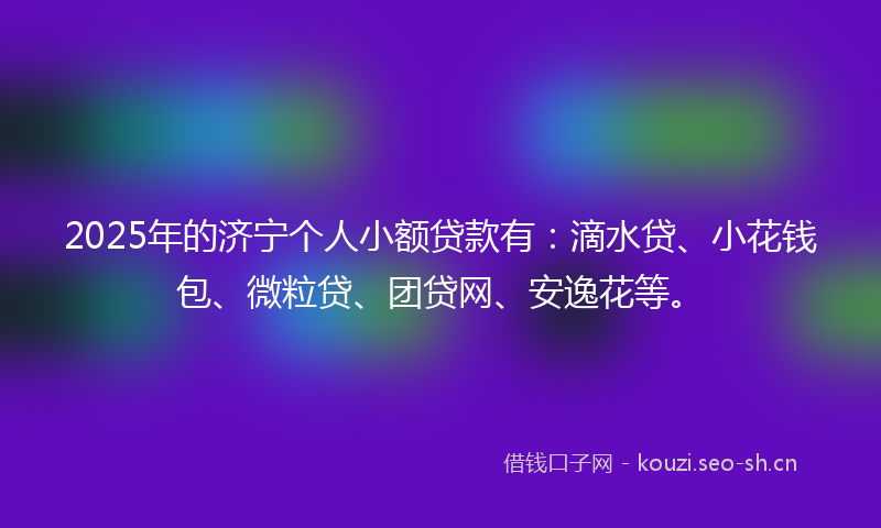 2025年的济宁个人小额贷款有：滴水贷、小花钱包、微粒贷、团贷网、安逸花等。