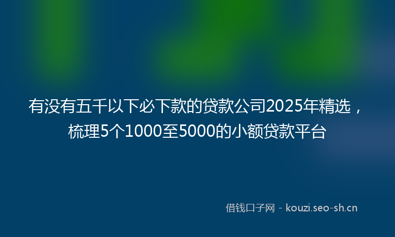 有没有五千以下必下款的贷款公司2025年精选，梳理5个1000至5000的小额贷款平台