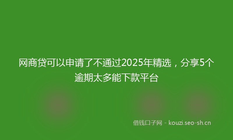 网商贷可以申请了不通过2025年精选，分享5个逾期太多能下款平台