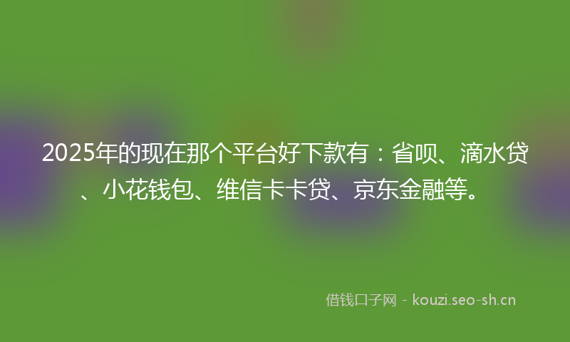2025年的现在那个平台好下款有：省呗、滴水贷、小花钱包、维信卡卡贷、京东金融等。