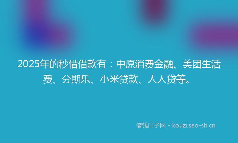 2025年的秒借借款有：中原消费金融、美团生活费、分期乐、小米贷款、人人贷等。