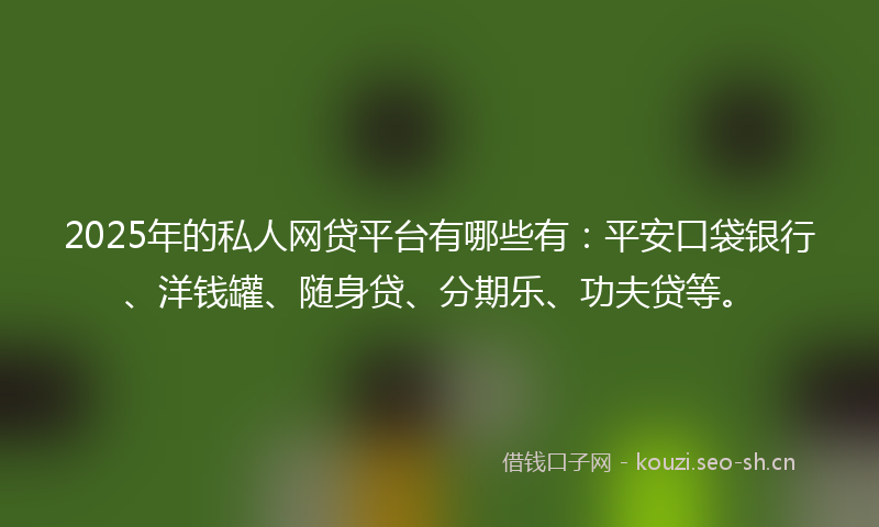 2025年的私人网贷平台有哪些有:平安口袋银行、洋钱罐、随身贷、分期乐、功夫贷等。