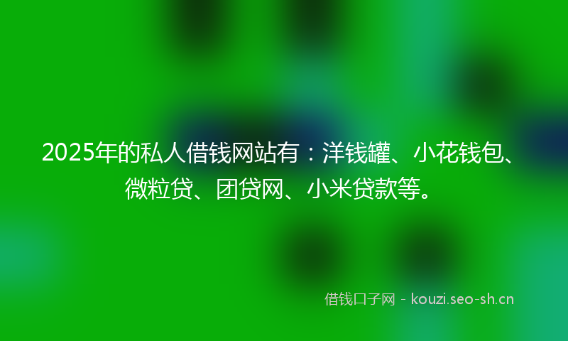 2025年的私人借钱网站有：洋钱罐、小花钱包、微粒贷、团贷网、小米贷款等。