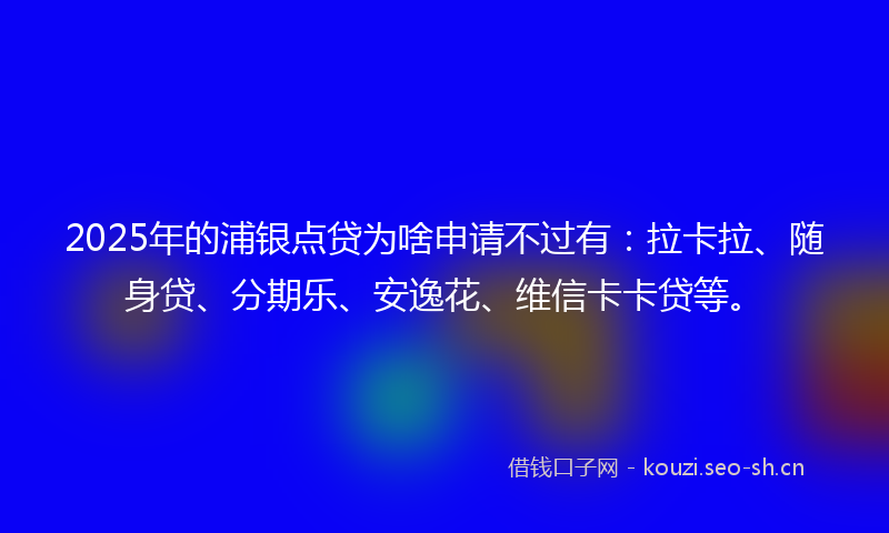 2025年的浦银点贷为啥申请不过有：拉卡拉、随身贷、分期乐、安逸花、维信卡卡贷等。