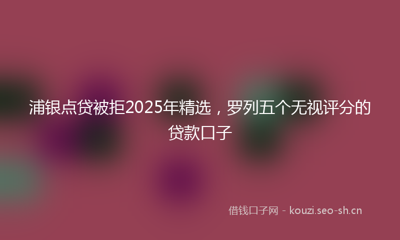 浦银点贷被拒2025年精选，罗列五个无视评分的贷款口子