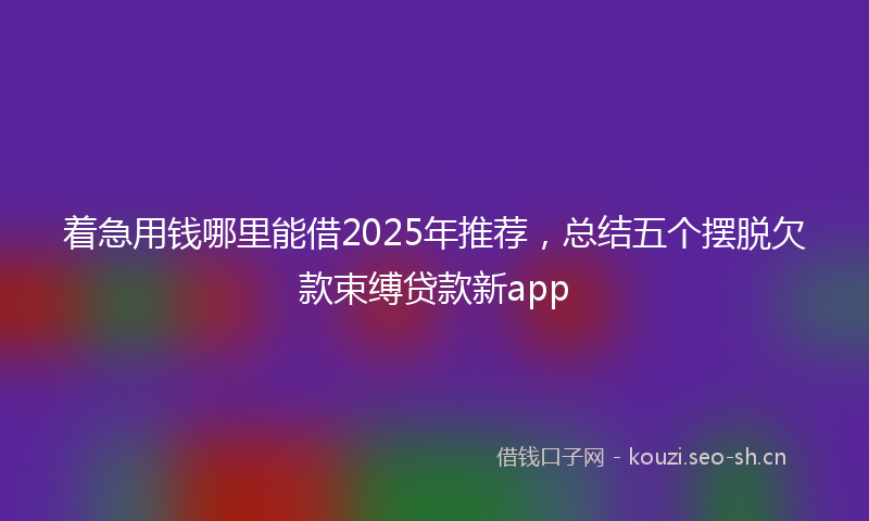 着急用钱哪里能借2025年推荐，总结五个摆脱欠款束缚贷款新app