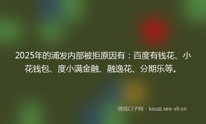 2025年的浦发内部被拒原因有：百度有钱花、小花钱包、度小满金融、融逸花、分期乐等。
