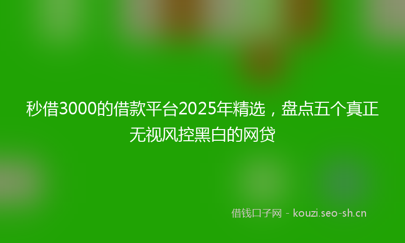 秒借3000的借款平台2025年精选，盘点五个真正无视风控黑白的网贷