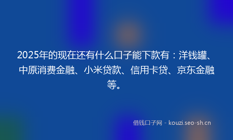 2025年的现在还有什么口子能下款有：洋钱罐、中原消费金融、小米贷款、信用卡贷、京东金融等。