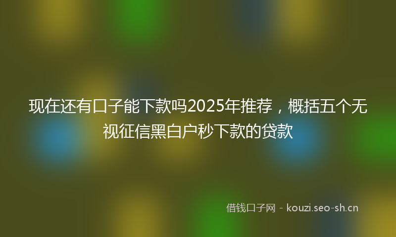 现在还有口子能下款吗2025年推荐，概括五个无视征信黑白户秒下款的贷款