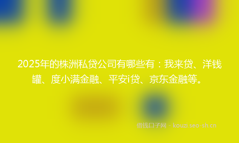 2025年的株洲私贷公司有哪些有：我来贷、洋钱罐、度小满金融、平安i贷、京东金融等。