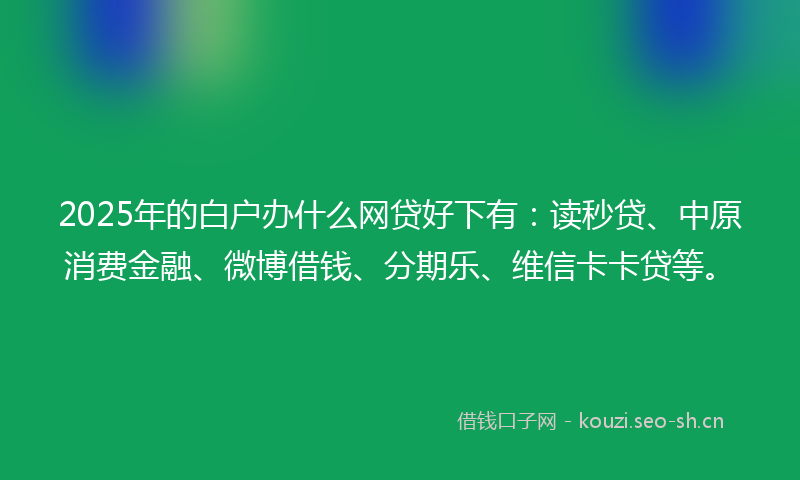 2025年的白户办什么网贷好下有：读秒贷、中原消费金融、微博借钱、分期乐、维信卡卡贷等。