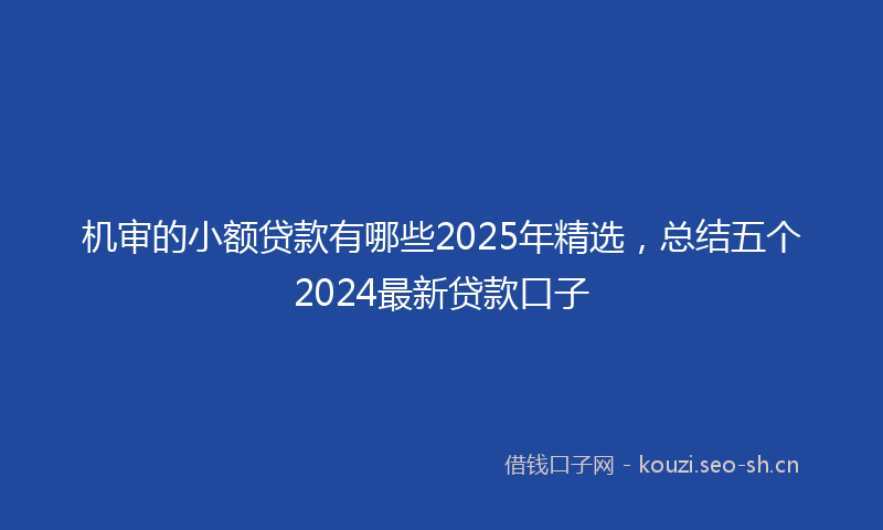 机审的小额贷款有哪些2025年精选，总结五个2024最新贷款口子