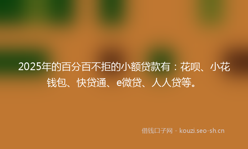 2025年的百分百不拒的小额贷款有：花呗、小花钱包、快贷通、e微贷、人人贷等。