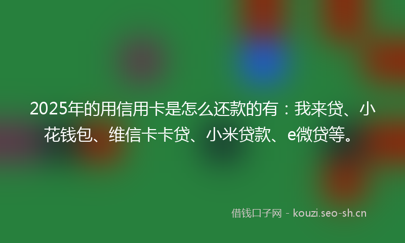 2025年的用信用卡是怎么还款的有：我来贷、小花钱包、维信卡卡贷、小米贷款、e微贷等。