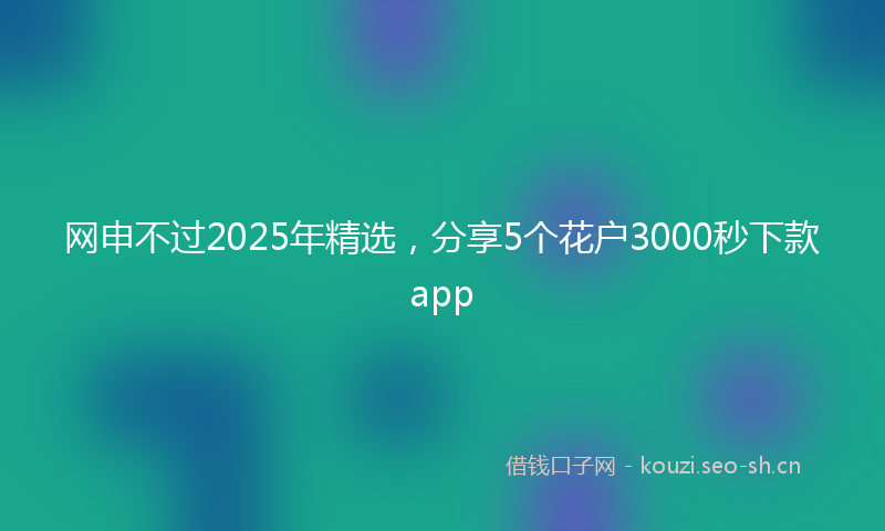 网申不过2025年精选，分享5个花户3000秒下款app