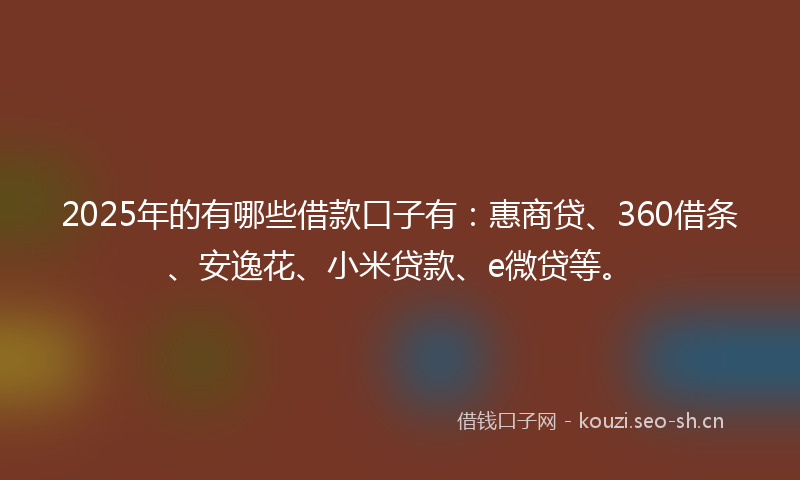 2025年的有哪些借款口子有：惠商贷、360借条、安逸花、小米贷款、e微贷等。